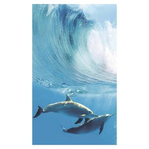Dekor delfíni A - sada 100/60