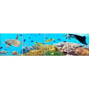 Skleněný panel 60/240 Aquarium-2 4-Elem