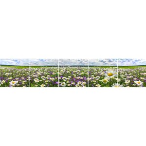 Skleněný panel 60/300 Flowers-3 5-Elem